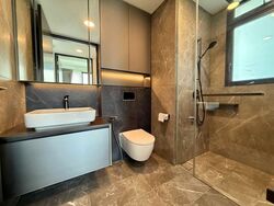 Irwell Hill Residences (D9), Apartment #542110261